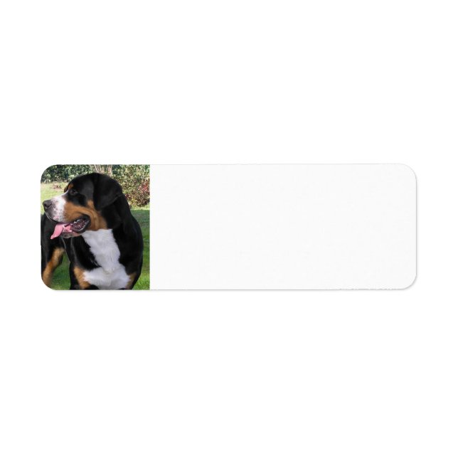 underbarare hund i bergsområden returadress etikett (Framsidan)