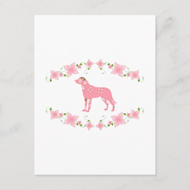 Underbarare Hund i Schweiz Vykort (Framsida)