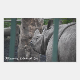 Underbarare One-Horned Rhinoceros i Edinburgh Zoo Rektangulärt Klistermärke