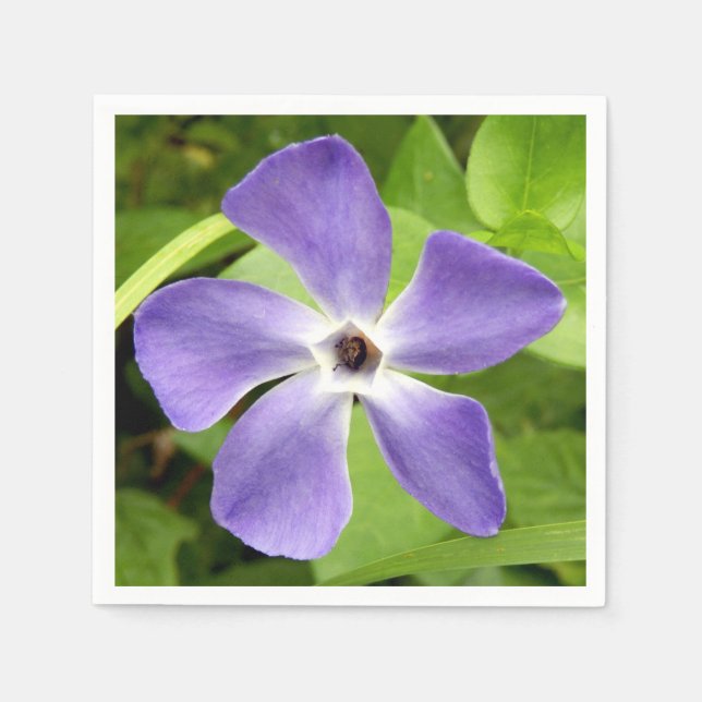 Underbarare Pappra blöjor för periwinkle Pappersservett (Framsidan)