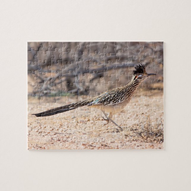 Underbarare roadrunner Desert Pussel (Horisontell)