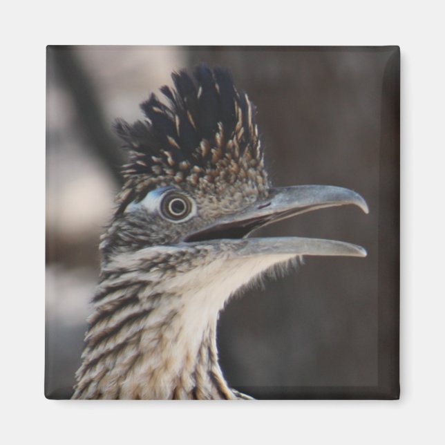 Underbarare Roadrunner Magnet (Framsidan)