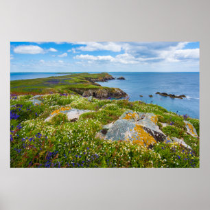 UNDERBARARE SALTEE, SALTEE ÖARNA, IRLAND POSTER