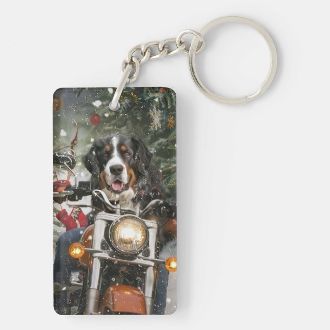 Underbarare schweiziska bergskorridoren (Baksidan)