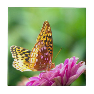 Underbaren Spangled fritillaryen Kakelplatta