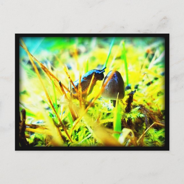 Underbart att träffa dig Slug och Mushroom Photo Vykort (Framsida)