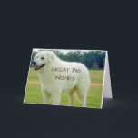 UNDERBART "BIG ÖNSKEMÅL" FÖR DIG PÅ "BIRTHDAY" KORT<br><div class="desc">TACK FÖR ATT JAG STOPPADE ETT AV MINA ÅTTA LAGER!!!!!!</div>