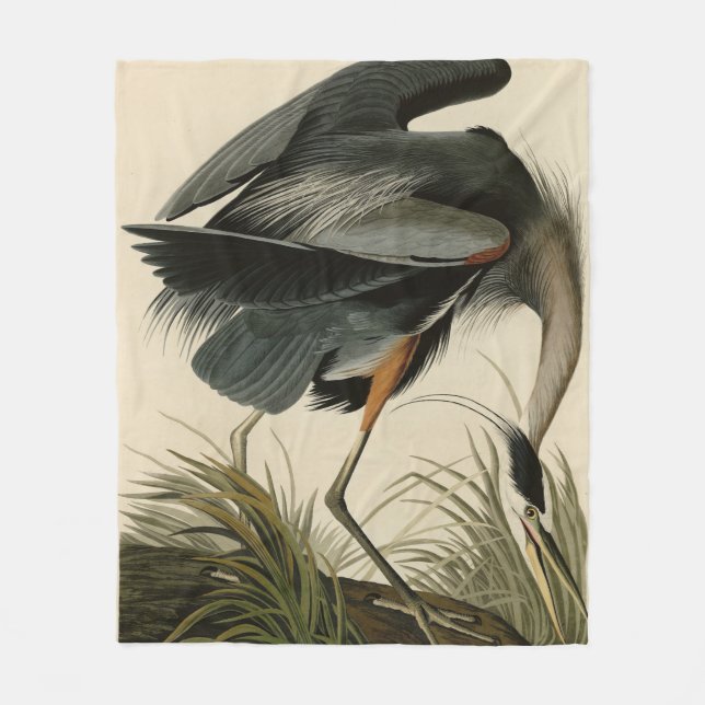 Underbart blåbjörn från Audubon's Birds of America Fleecefilt (Framsidan)