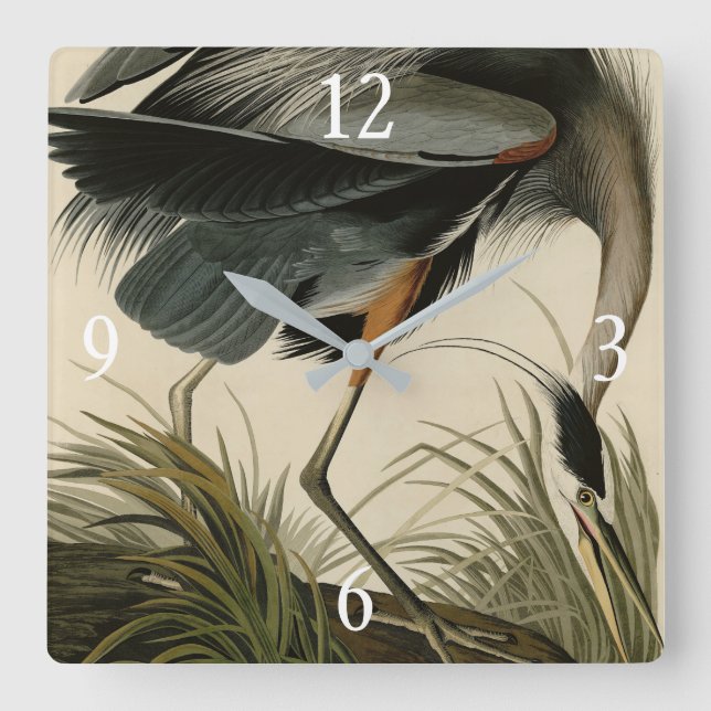 Underbart blåbjörn från Audubon's Birds of America Fyrkantig Klocka (Framsida)