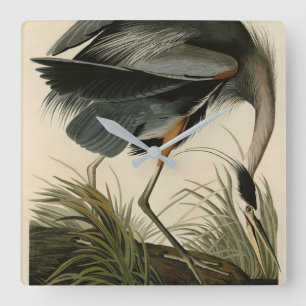 Underbart blåbjörn från Audubon's Birds of America Fyrkantig Klocka