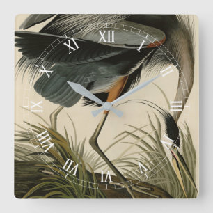 Underbart blåbjörn från Audubon's Birds of America Fyrkantig Klocka