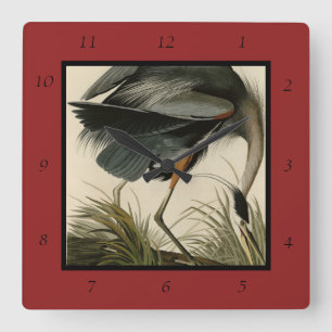 Underbart blåbjörn från Audubon's Birds of America Fyrkantig Klocka