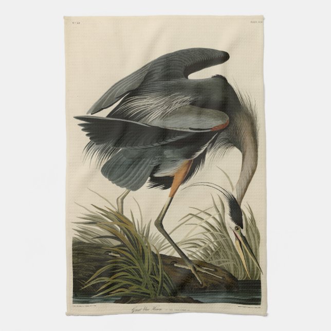 Underbart blåbjörn från Audubon's Birds of America Kökshandduk (Vertikal)