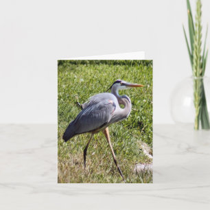 Underbart blått Heron-fotopappkort Anteckningskort