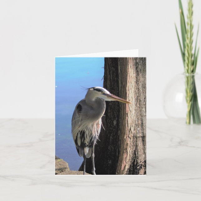 Underbart blått Heron-fotopatkort, tomt Anteckningskort (Framsida)