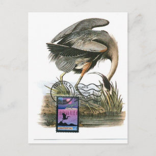 Underbart blått Heron-kort Vykort