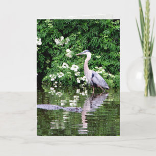Underbart blått Heron- och Alligator-gratulationsk Kort