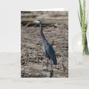 Underbart blått Heron-tackkort Tack Kort