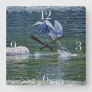 Underbart Blått Heron Wildlife Bird Photo 5 Fyrkantig Klocka
