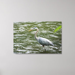 Underbart blått Heron Wrapped Canvas Skriv ut