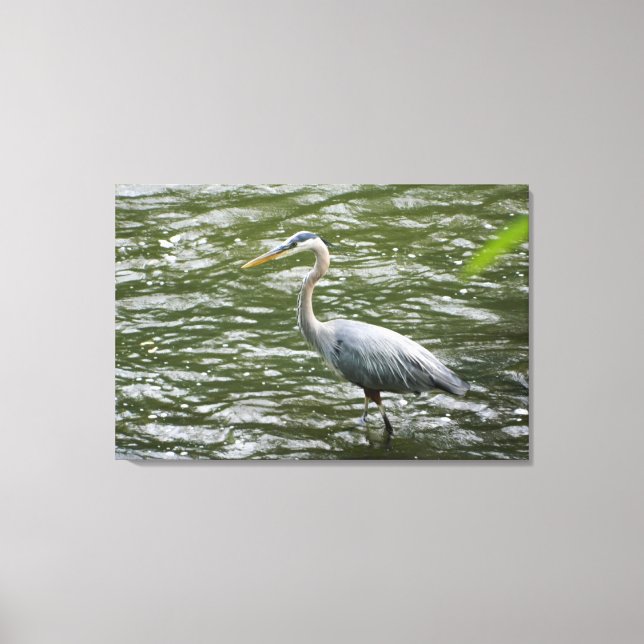 Underbart blått Heron Wrapped Canvas Skriv ut (Framsida)
