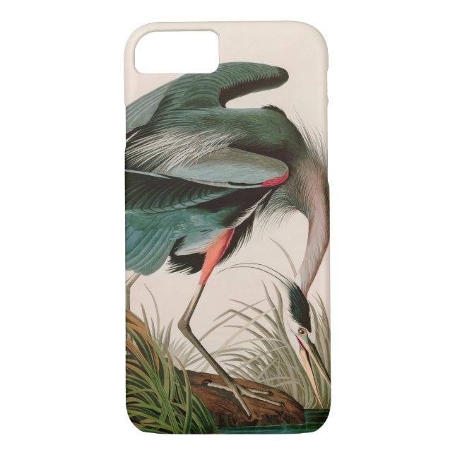 Underbart blått öron från Amerika Audubon Skriv ut Case-Mate iPhone Skal (Baksida)