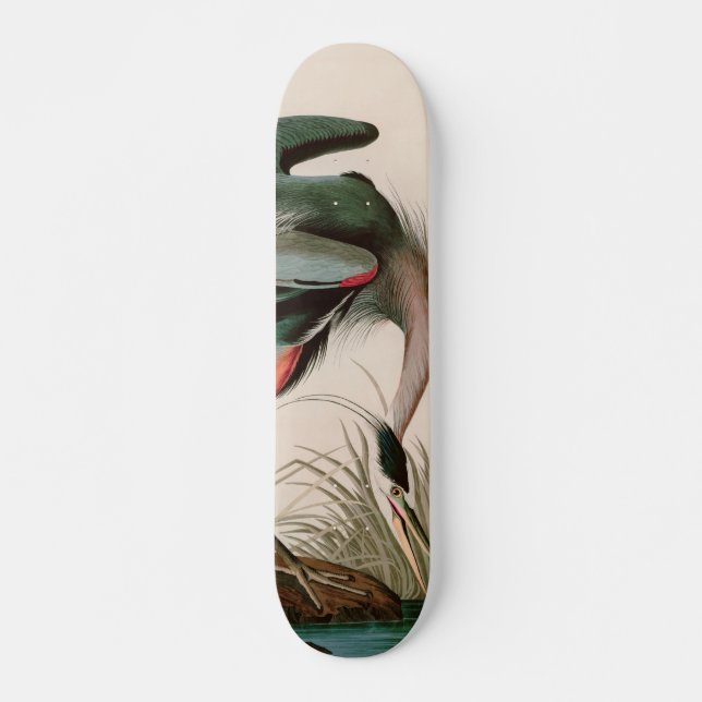 Underbart blått öron från Amerika Audubon Skriv ut Mini Skateboard Bräda 18,5 Cm (Framsida)