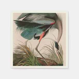 Underbart blått öron från Amerika Audubon Skriv ut Pappersservett