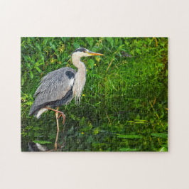 Underbart Blue Heron Bird Wildlife Photo Pussel