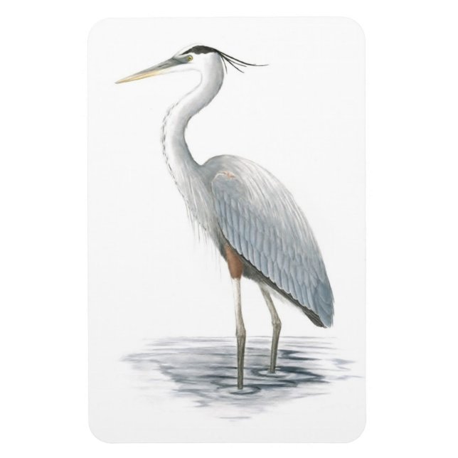 Underbart Blue Heron Flexi Magnet (Vertikal)