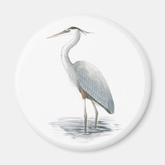Underbart Blue Heron Magnet