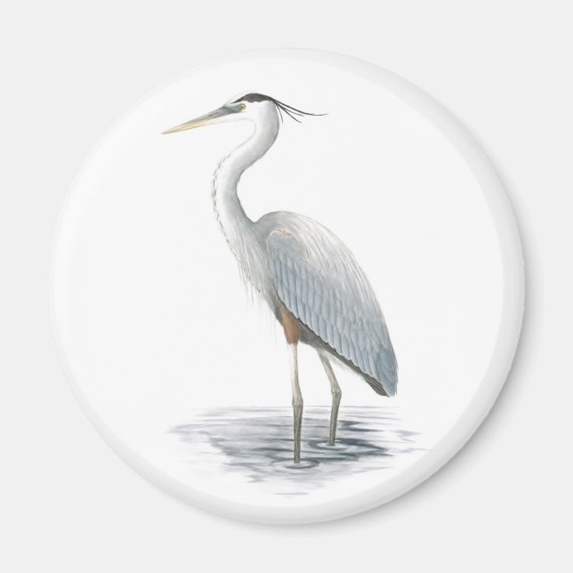 Underbart Blue Heron Magnet (Framsidan)