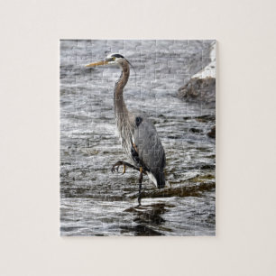Underbart Blue Heron Wildlife Birdlover Photo Pussel