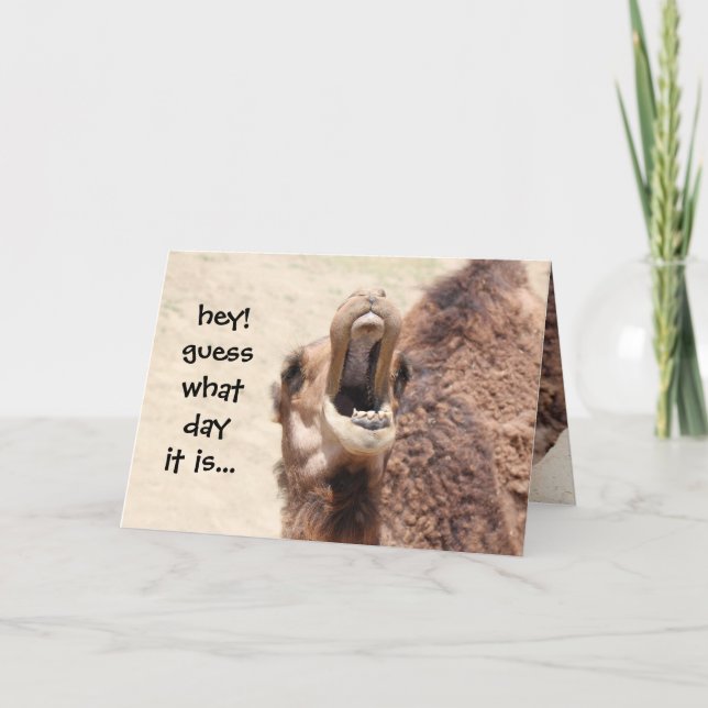 Underbart Camel Hump Day Birthday Card Kort (Framsida)