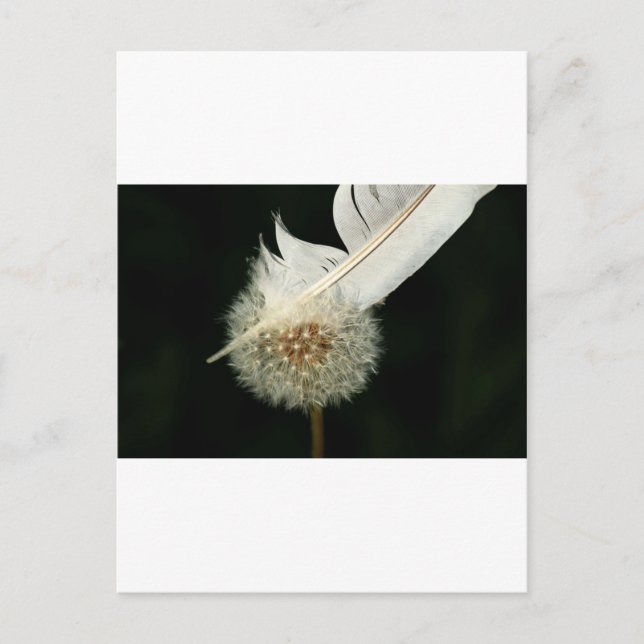 Underbart Dandelion Vykort (Framsida)