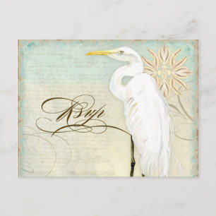 Underbart Egret Coastal Beach - OSA Response Postc Inbjudan Vykort
