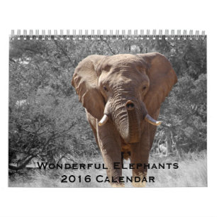 Underbart Elephants 2016-kalender Kalender