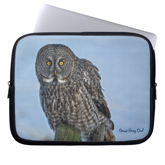 Underbart Grått Uggla Raptor Winter Wildlife Photo Laptop Sleeve (Framsidan)