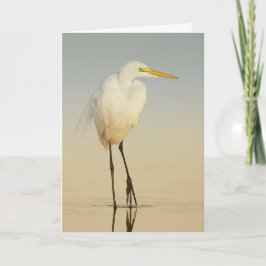 Underbart gratulationskort för Egret Walking Kort