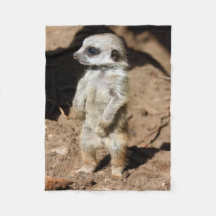 Underbart gulligt sött afrikanskt Meerkat djur Fleecefilt