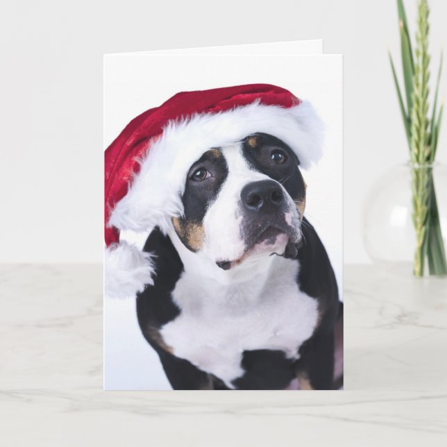 Underbart julkort helgkort (Framsida)