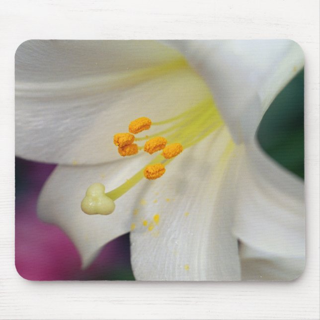 Underbart medan Lily Musmatta (Framsidan)