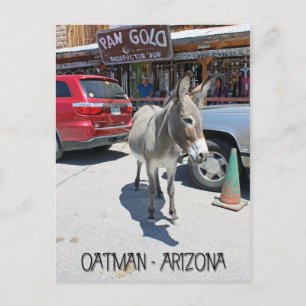 Underbart Oatman-vykort! Vykort