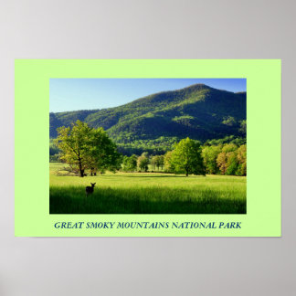 Underbart Poster av smoky Mountains nationalpark F