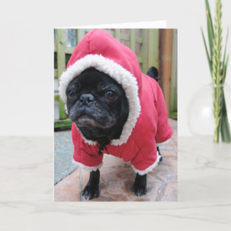 Underbart Pug Birthday Greeting-kort Kort