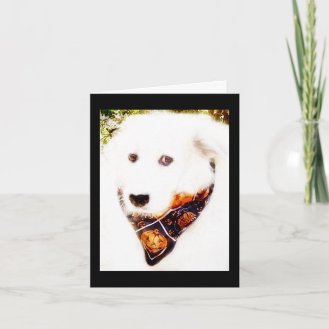 Underbart Pyr Halloween-kort Kort (Framsida)