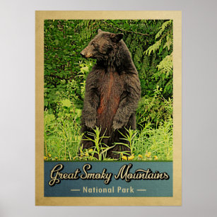 Underbart Röksiga bergs nationalpark Poster