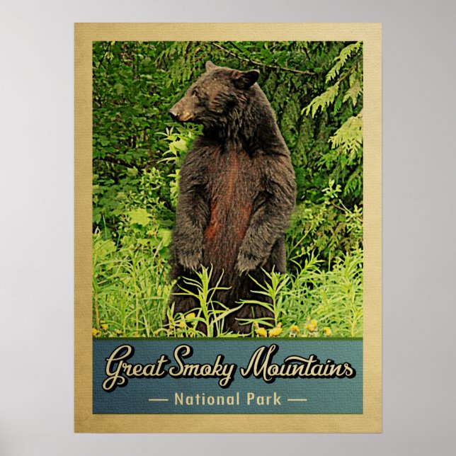 Underbart Röksiga bergs nationalpark Poster (Framsidan)