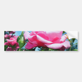 Underbart rosa ros i blå himmel. Floral-fotografi Bildekal