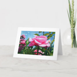 Underbart rosa ros i blå himmel. Floral-fotografi Helgkort